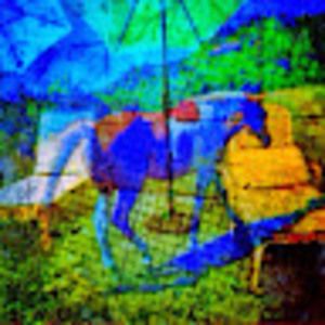 Meet your Posher, Robin